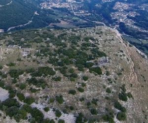 Όρραον